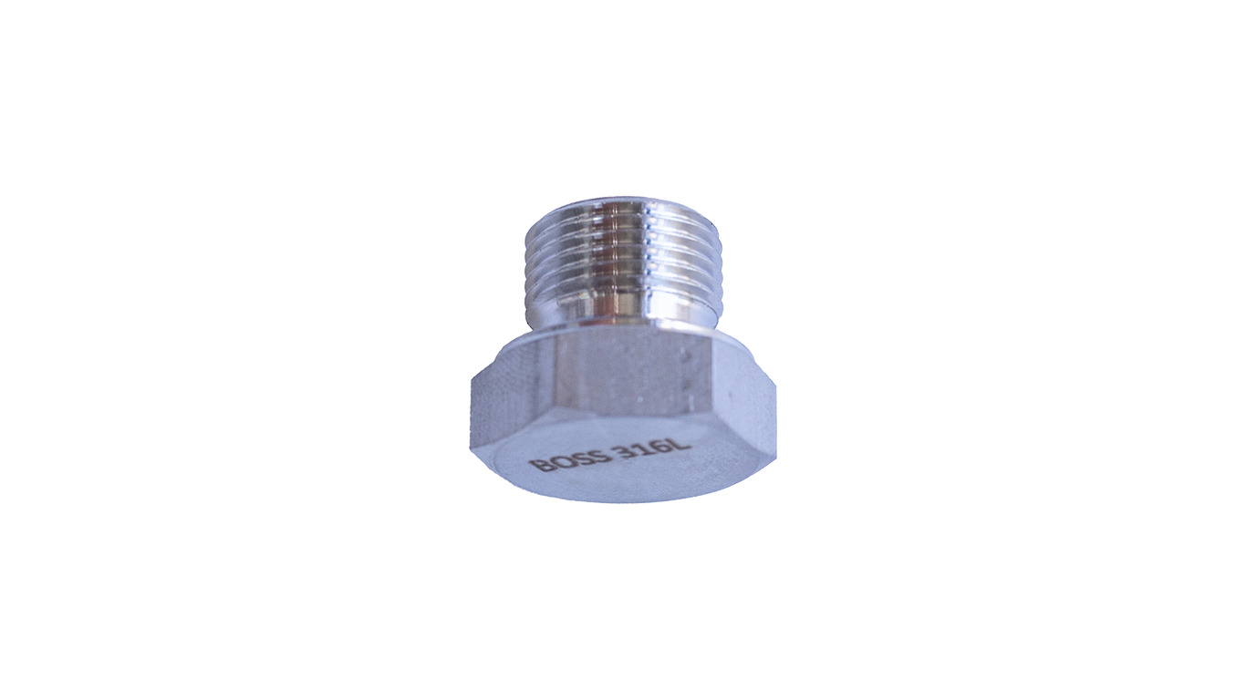 Stainless Male BSP Blanking Plugs