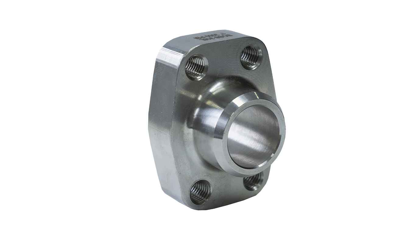 SAE Stainless Steel 316L Butt Weld Flanges with O-Ring