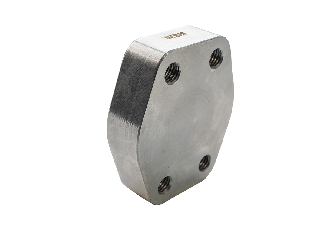 SAE Stainless 316L Blind Flanges with O-Ring