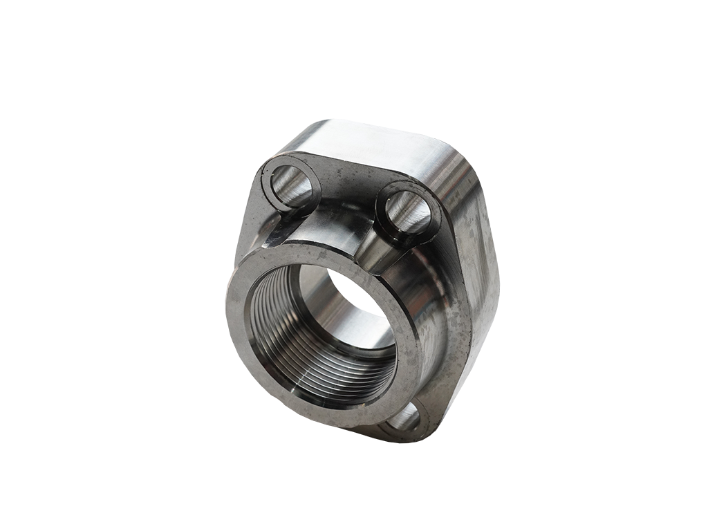 SAE Stainless 316L BSP & NPT Thread Flanges with O-Ring